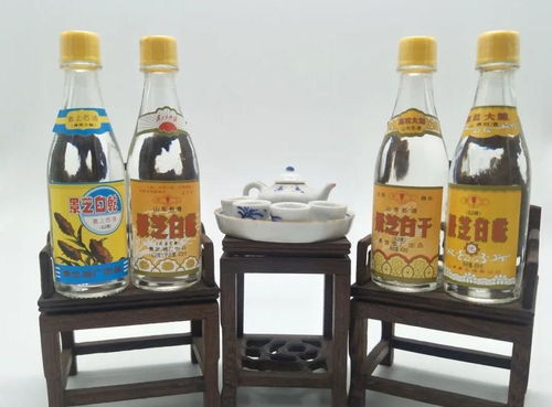 為何半斤白酒尚清醒，兩瓶啤酒卻已醉？——酒精飲料與醉酒的秘密