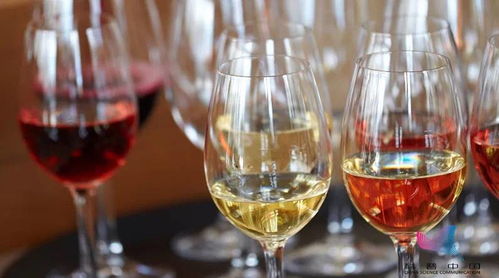 酒混著喝真的更容易醉嗎？——揭開(kāi)酒精與酒類(lèi)混合的真相